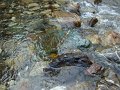 DSC01552