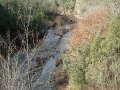 DSC01560