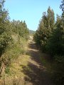 DSC01562