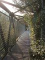DSC01563