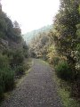 DSC01567