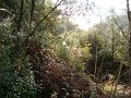 DSC01585
