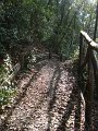 DSC01587