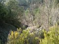 DSC01588