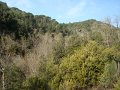 DSC01591