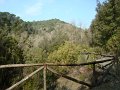 DSC01599