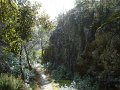 DSC01602