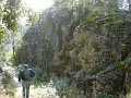 DSC01606