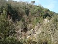 DSC01613