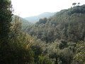 DSC01617