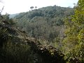 DSC01618