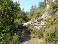 DSC01619