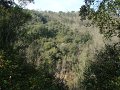 DSC01625