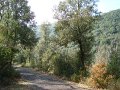 DSC01634