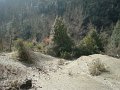DSC01641