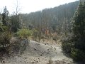DSC01643