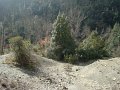 DSC01644