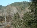 DSC01649