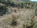 DSC01653