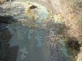 DSC01655