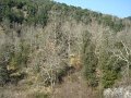 DSC01656