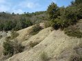 DSC01664