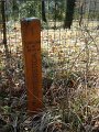 DSC01670