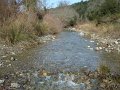 DSC01681