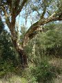 DSC01683