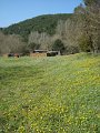DSC01689