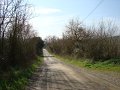 DSC01694