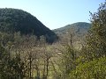 DSC01699