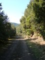 DSC01700