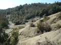 DSC01707