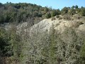 DSC01720