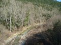 DSC01724
