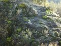 DSC01729