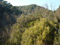 DSC01731