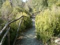 DSC01732