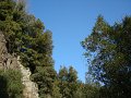 DSC01735