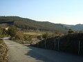 DSC01751