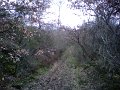 IMG10025