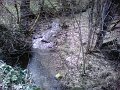IMG10031