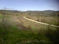 IMG10035