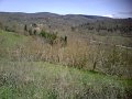 IMG10038