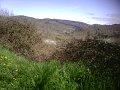 IMG10039