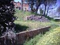 IMG10040