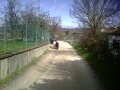 IMG10052