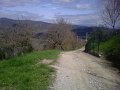 IMG10054