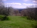 IMG10059